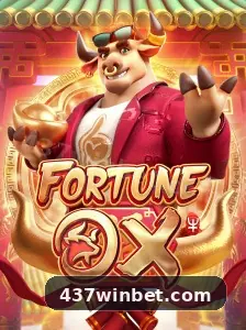 437win destaque